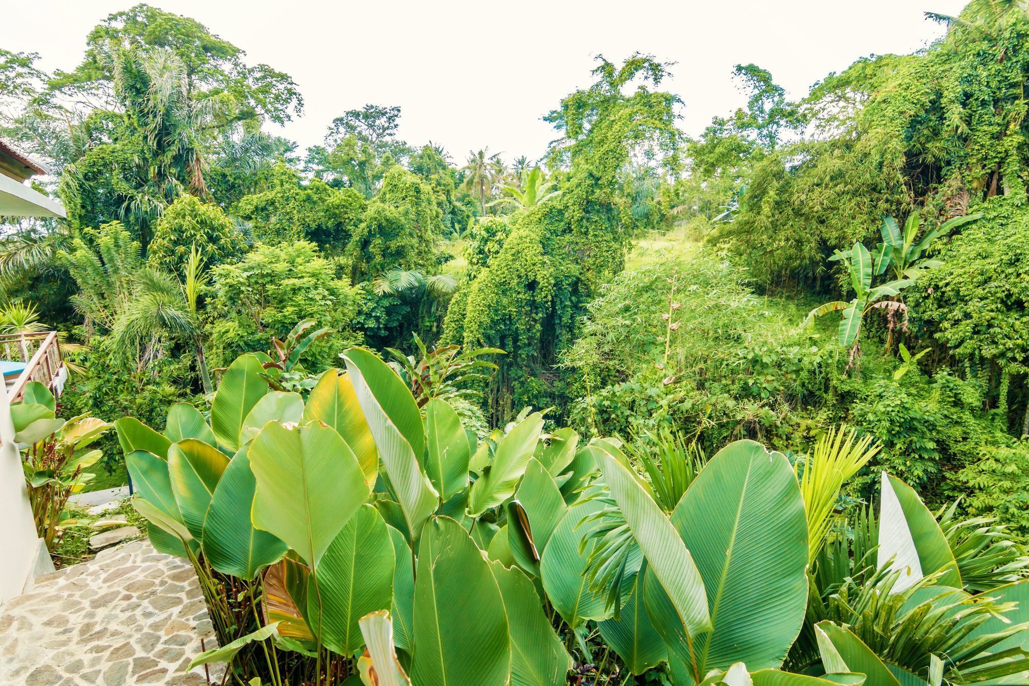 Zen Villa River Side, 1 Bedroom Ubud  Ngoại thất bức ảnh